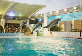 Interactive Aquarium Cancún: Entry Ticket + Dolphin Show