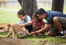 Oakvale Wildlife Park: Entry Ticket