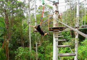 Currumbin Wildlife Sanctuary and TreeTop Challenge: Combo Ticket
