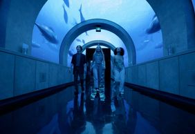 Arcadia Earth Toronto: Anytime Entry Ticket