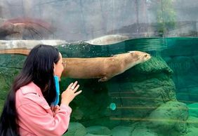 Michin Aquarium Puebla: Entry Ticket