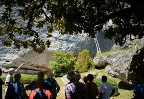 Laugerie-Basse: Entry Ticket