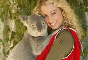 Paradise Country: Entry Ticket + Koala Breakfast