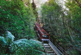 Blue Mountains: Scenic World Entry Ticket + Harbour Cruise from Sydney