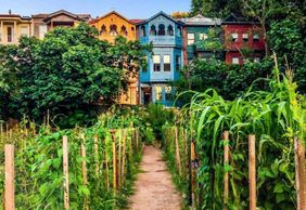 Istanbul: Kuzguncuk District Audio Tour