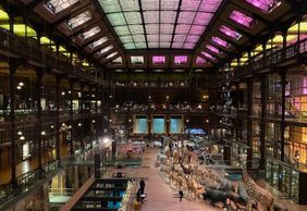 Paris: A Stroll Through Time with the Grande Galerie Ticket