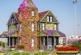 Dubai Miracle Garden: Entry Ticket