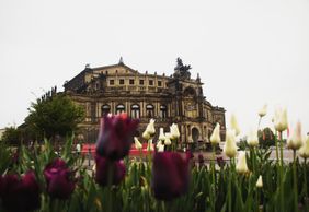 Dresden Walk: Semperoper, Frauenkirche, Zwinger, and many more