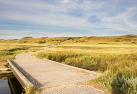 Den Burg: Texel Dunes Discovery Audio Tour