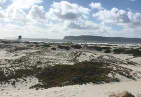 Coronado: Coastal Gems Audio Tour