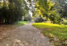 Cape Town: Enchanted Gardens Audio Tour