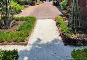 Charleston's Historic Walking Journey