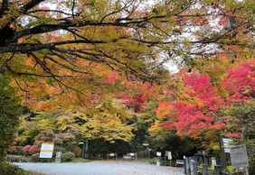 Takayama: Historic Time-Travel Audio Tour