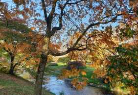 Baden-Baden: Historic Elegance Audio Tour