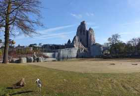 Paris Zoological Park (Parc Zoologique de Paris): Entrance Ticket