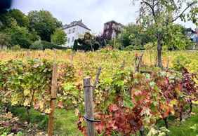 Paris: Self-Guided Audio Walk Through Montmartre’s Bohemian Heart
