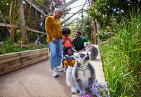 London Zoo: Entry Ticket