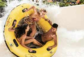 Loro Parque & Siam Park: Entry Ticket