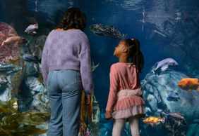 Aquarium of the Pacific: Skip The Line Ticket
