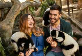 Mundomar Benidorm: Skip The Line Ticket