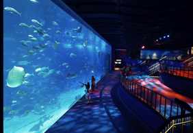 S.E.A. Aquarium™ Singapore: Entry Ticket