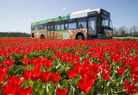 Amsterdam: City & Region Travel Ticket