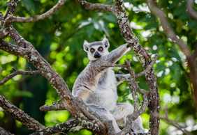 Faunia Nature Park: Entry Ticket