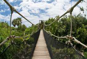 Jungle Park: Entry Ticket