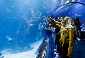 Atlantis Aquarium Madrid: Entry Ticket