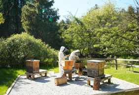 VanDusen Botanical Garden: Entry Ticket