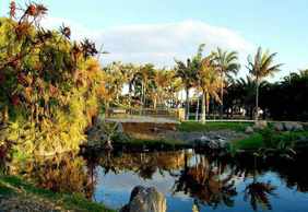 Palmetum of Santa Cruz de Tenerife: Entry Ticket