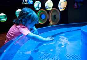Ripley's Aquarium Myrtle Beach: Entry Ticket