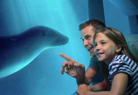 SEA LIFE Sunshine Coast: Entry Ticket