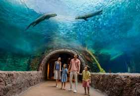 Singapore River Wonders: Entry Ticket