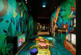 World Museum Rotterdam: Entry Ticket