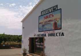 Solés Anchovy Factory-Museum: Entry Ticket