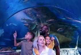 SEA LIFE Arizona: Entry Ticket
