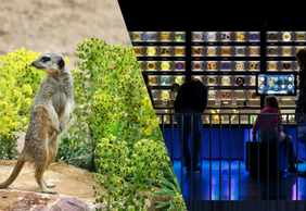 ARTIS Amsterdam Royal Zoo & Micropia: Skip The Line Entry Ticket