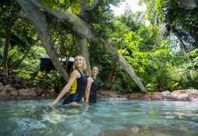 Discovery Cove: Entry Ticket