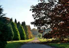 Arboretum de Chèvreloup: Entry Ticket