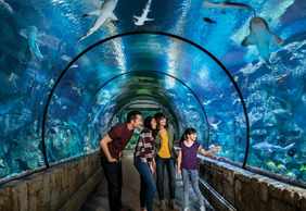 Shark Reef Aquarium at Mandalay Bay: Entry Ticket