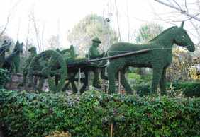 El Bosque Encantado: Entry Ticket