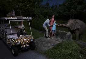 Singapore Night Safari: Entry Ticket + Roundtrip Transport