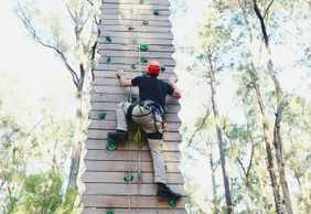 Forest Adventures Park Entry