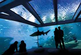 Palma Aquarium: Entry Ticket + Transfer from Calvià Area