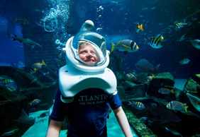 Aquaventure Waterpark: Entry Ticket + Aquarium + Shark Snorkel or Safari