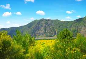 Vesuvius & Pompeii: Skip The Line Tickets + Roundtrip from Salerno