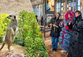 ARTIS Amsterdam Royal Zoo & Groote Museum: Skip-the-Line Entry Ticket