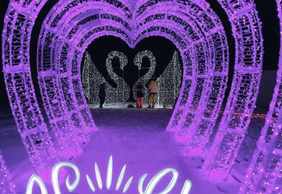 SnowGlow Winterpark: Entry Ticket