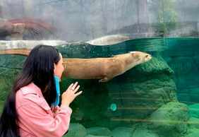 Michin Aquarium Puebla: Entry Ticket